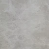 SILVER SPIDER