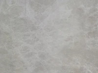 SILVER SPIDER