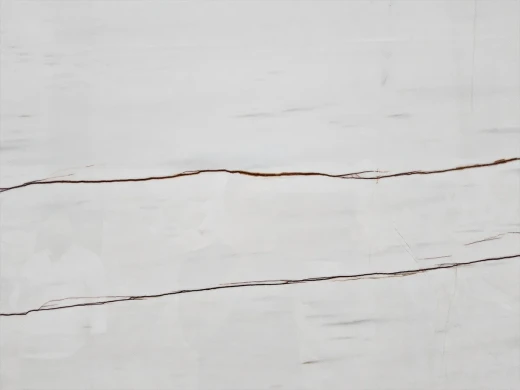 ROSSO VENATO